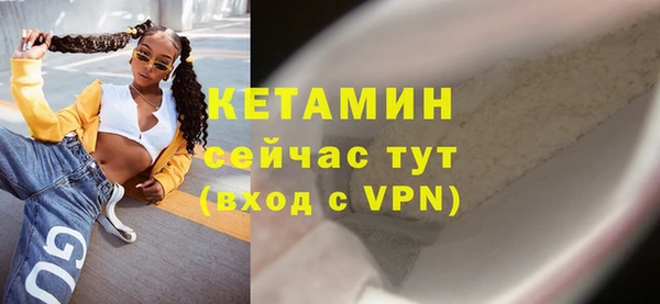 шишки Беломорск