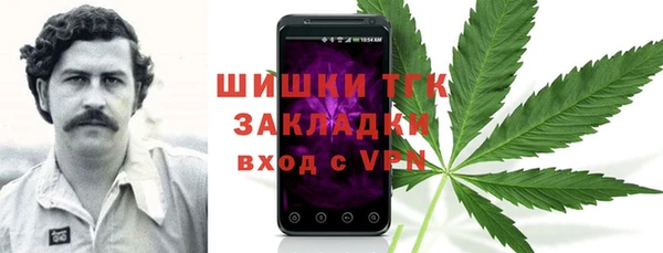 шишки Беломорск