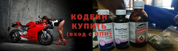 шишки Беломорск
