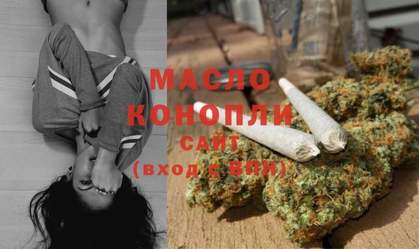 гашиш Богданович