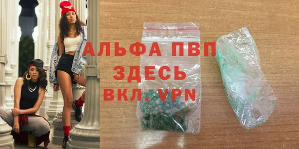 шишки Беломорск