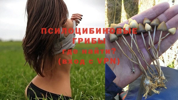 гашиш Богданович