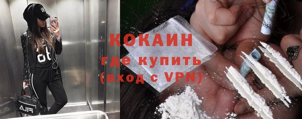 шишки Беломорск
