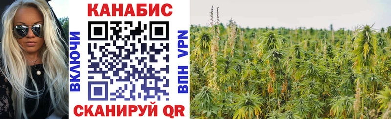 продажа наркотиков  Каменка  Бошки марихуана индика 